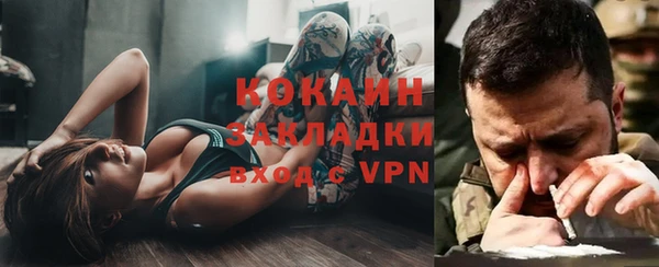 прущие грибы Новокубанск