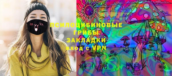 бошки Новодвинск