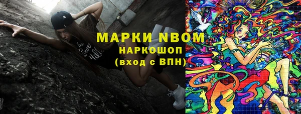 бошки Новодвинск