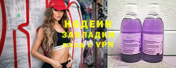 прущие грибы Новокубанск