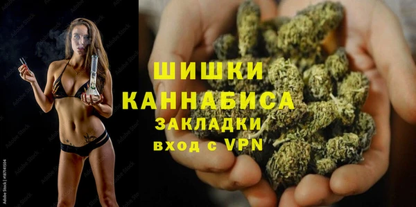 бошки Новодвинск
