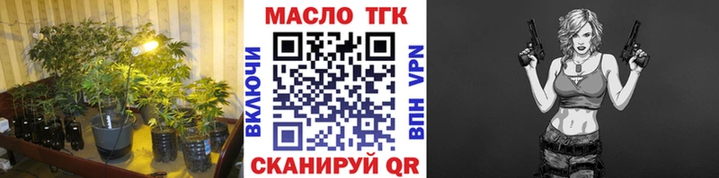 Купить закладки  Ленск  ТГК концентрат 