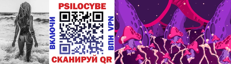 Купить закладки  Ленск  Псилоцибиновые грибы Psilocybine cubensis 