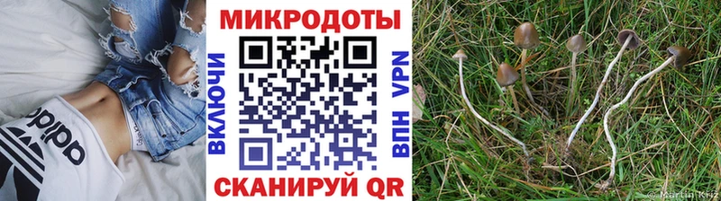 Галлюциногенные грибы прущие грибы Ленск